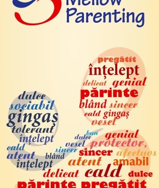 La Ungheni sau încheiat activitățile din cadrul programului de educație parentală  „ Mellow Parenting”